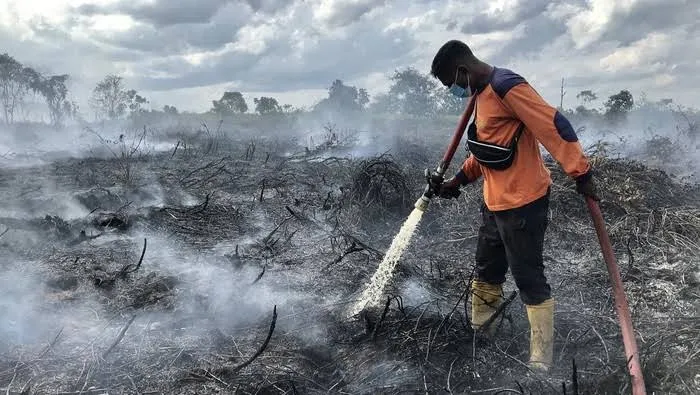 Cek Kualitas Udara Sebelum Lari di Kalimantan, Ini Arti Angka ISPU